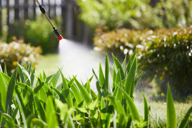 24/7 Emergency Mosquito Control experts in Inverness Highlands North, FL