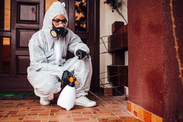Reliable Mosquito Control contractor in Inverness Highlands North, FL by Show Me Pest Control
